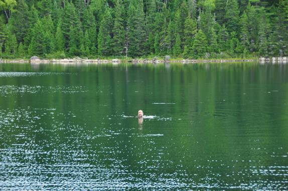 Delicioso banho no Lac Solitaire, no Parc National de La Mauricie, província de Quebec, no Canadá
